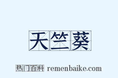 天竺葵是什么意思的图片